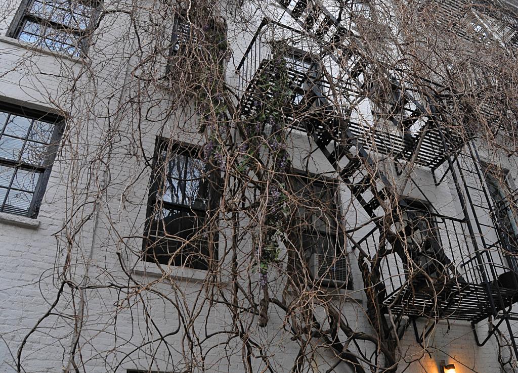 dsc_3588_.jpg - Greenwich Village
